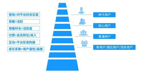 互聯(lián)網(wǎng)公司如何構(gòu)建一套完整的用戶(hù)成長(zhǎng)體系 策略、實(shí)施與運(yùn)營(yíng)實(shí)踐